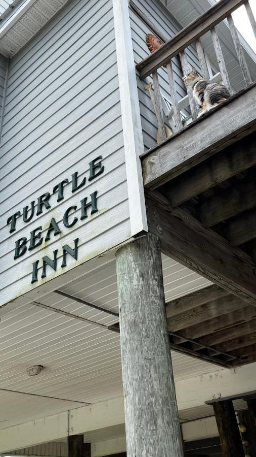Turtle Beach Inn Indian Pass Exterior foto